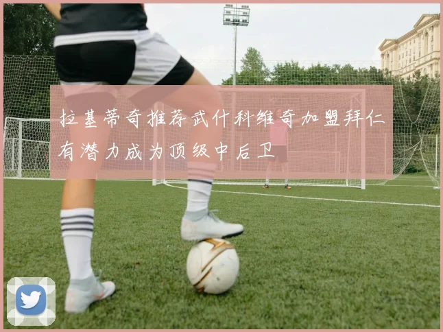 拉基蒂奇推荐武什科维奇加盟拜仁有潜力成为顶级中后卫