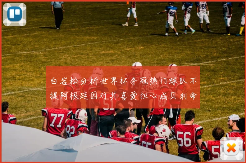 白岩松分析世界杯夺冠热门球队不提阿根廷因对其喜爱担心成贝利命运