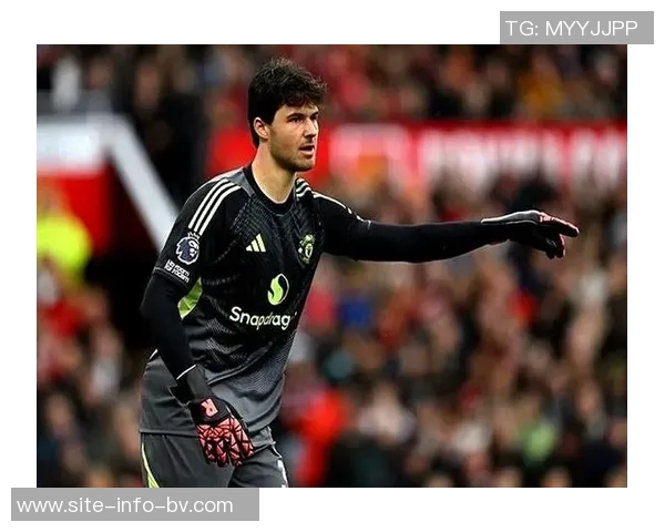 凌晨1点的坚持曼联门将拉门斯被曝加练锻炼不懈怠